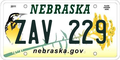 NE license plate ZAV229