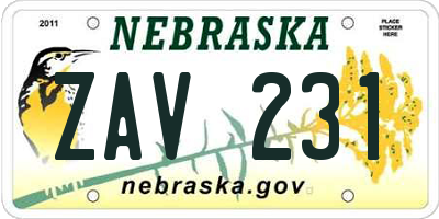 NE license plate ZAV231