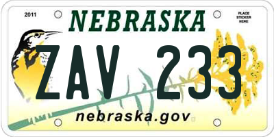 NE license plate ZAV233