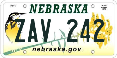 NE license plate ZAV242