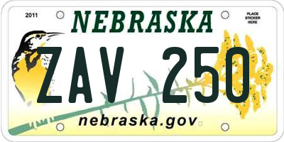 NE license plate ZAV250