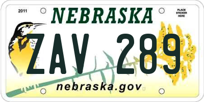 NE license plate ZAV289
