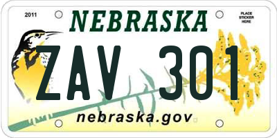 NE license plate ZAV301