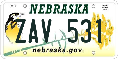 NE license plate ZAV531