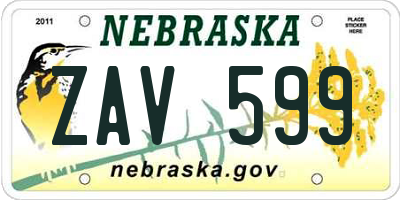 NE license plate ZAV599