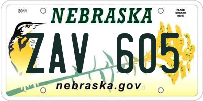 NE license plate ZAV605