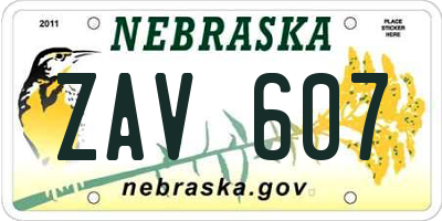 NE license plate ZAV607