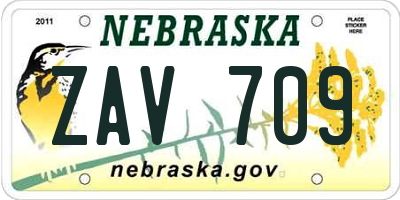 NE license plate ZAV709