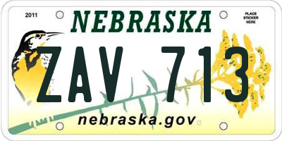NE license plate ZAV713