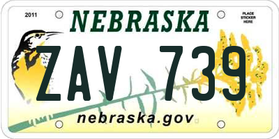 NE license plate ZAV739