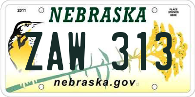 NE license plate ZAW313