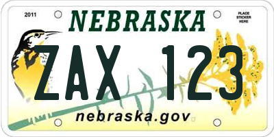 NE license plate ZAX123