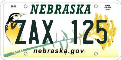 NE license plate ZAX125