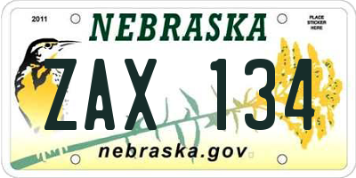 NE license plate ZAX134