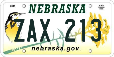 NE license plate ZAX213