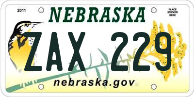 NE license plate ZAX229