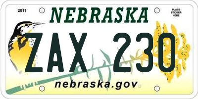 NE license plate ZAX230