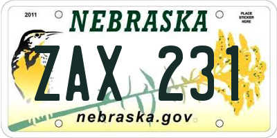 NE license plate ZAX231