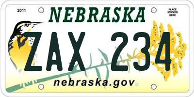 NE license plate ZAX234
