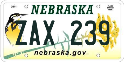 NE license plate ZAX239