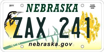 NE license plate ZAX241