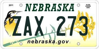 NE license plate ZAX273