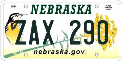 NE license plate ZAX290
