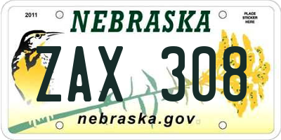 NE license plate ZAX308