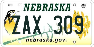 NE license plate ZAX309