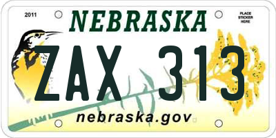 NE license plate ZAX313