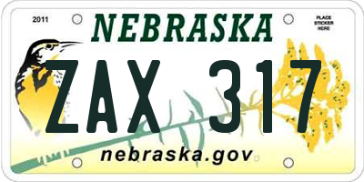 NE license plate ZAX317