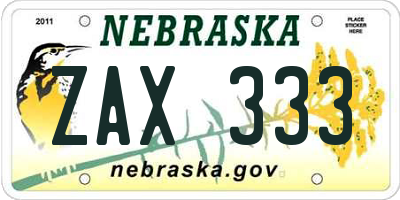 NE license plate ZAX333