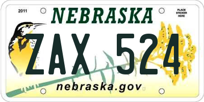 NE license plate ZAX524
