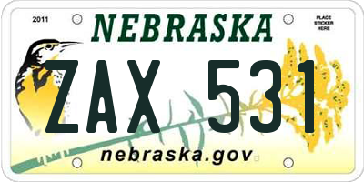 NE license plate ZAX531