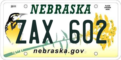 NE license plate ZAX602