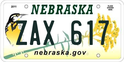 NE license plate ZAX617
