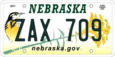 NE license plate ZAX709