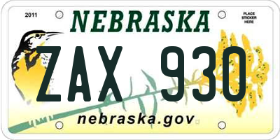 NE license plate ZAX930