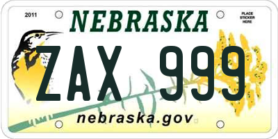 NE license plate ZAX999