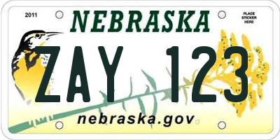 NE license plate ZAY123