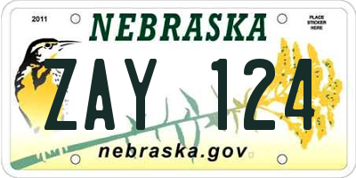 NE license plate ZAY124