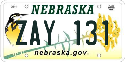 NE license plate ZAY131