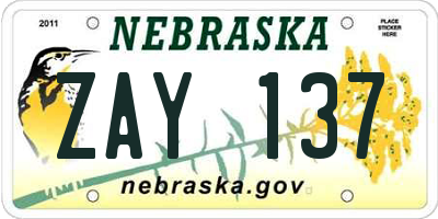 NE license plate ZAY137
