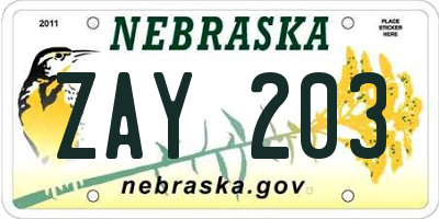 NE license plate ZAY203