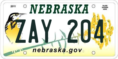 NE license plate ZAY204
