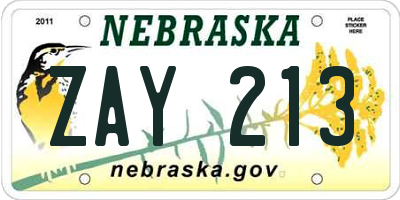 NE license plate ZAY213