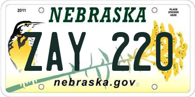 NE license plate ZAY220