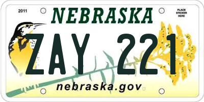 NE license plate ZAY221