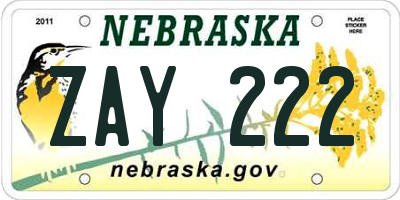 NE license plate ZAY222
