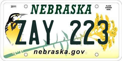 NE license plate ZAY223